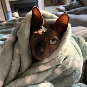 ☀️☀️30-60% OFF ANY BUNDLES OF 3 moving sale !! Will compromise on items ☀️☀️